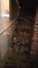 Inondation dans une maison : l'eau dévale les escaliers