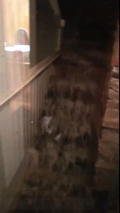 Inondation dans une maison : l'eau dévale les escaliers