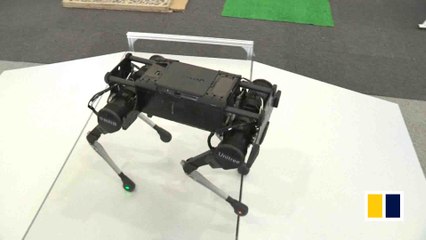Robot dogs and robotic suits unveiled at Beijing conference