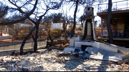 Greece fires: Inquiry launched regarding response