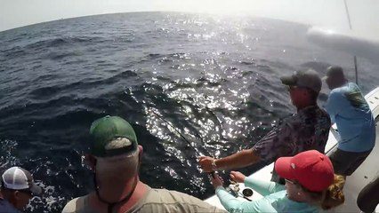 MASSIVE Yellowfin TUNA {Catch Clean Cook} 2 Recipes 1 Video