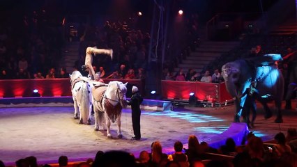 Rene Casselly Junior - New Generation Monte-Carlo 2016