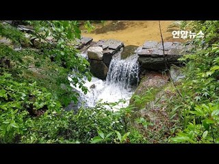 [ASMR] 비오는 오후 삼청공원 시냇물 소리 / 연합뉴스 (Yonhapnews)