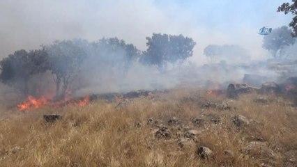 Midyat'ta Ormanlık Alanda Çıkan Yangın Sürüyor