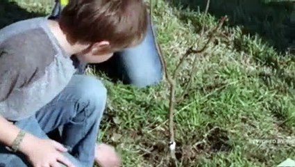 Fixer Upper S05E12 The Gaines Family Garden