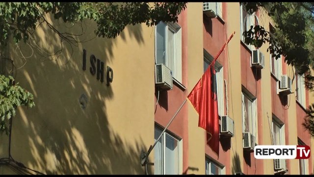 Report Tv- Ethet e Nilit/ ISHP shuan dyshimet: Asnjë rast me këtë virus në Shqipëri