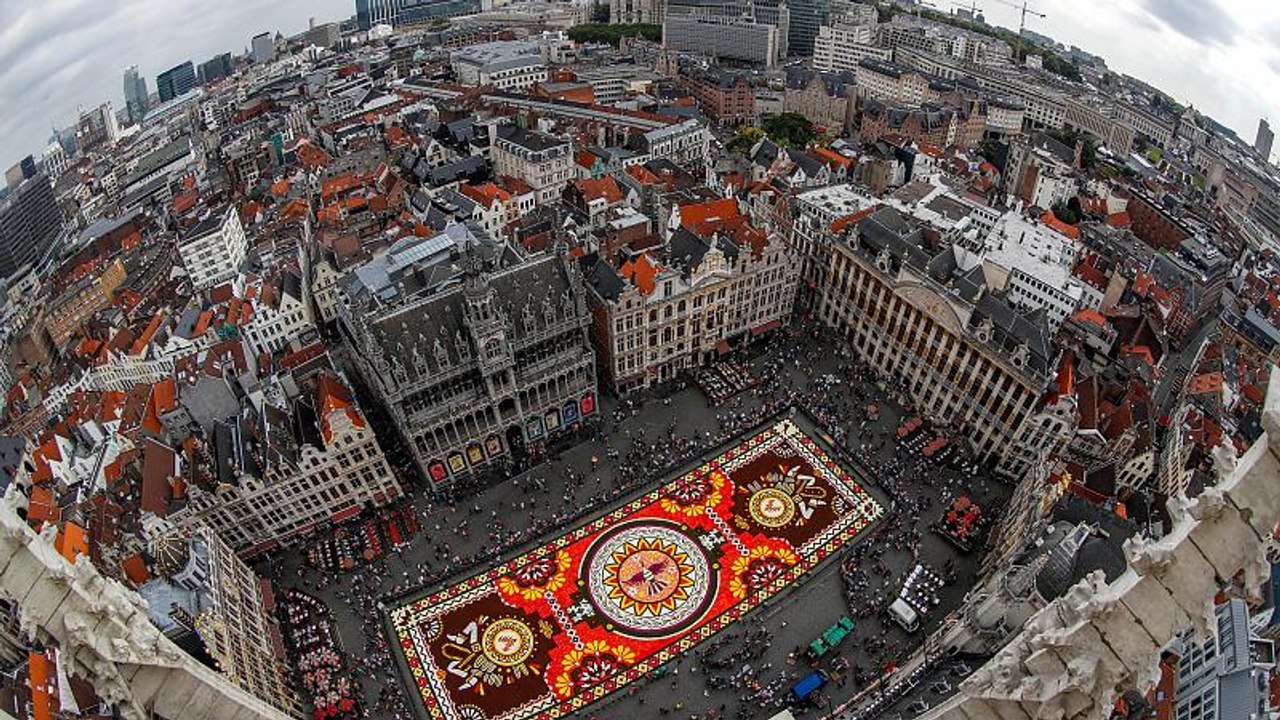 Watch: Brussel's Grand Place square covered with colourful flowers