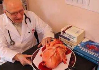 Bakery Creates Anatomically Correct Heart Cake to Help Surgeon Celebrate His Birthday