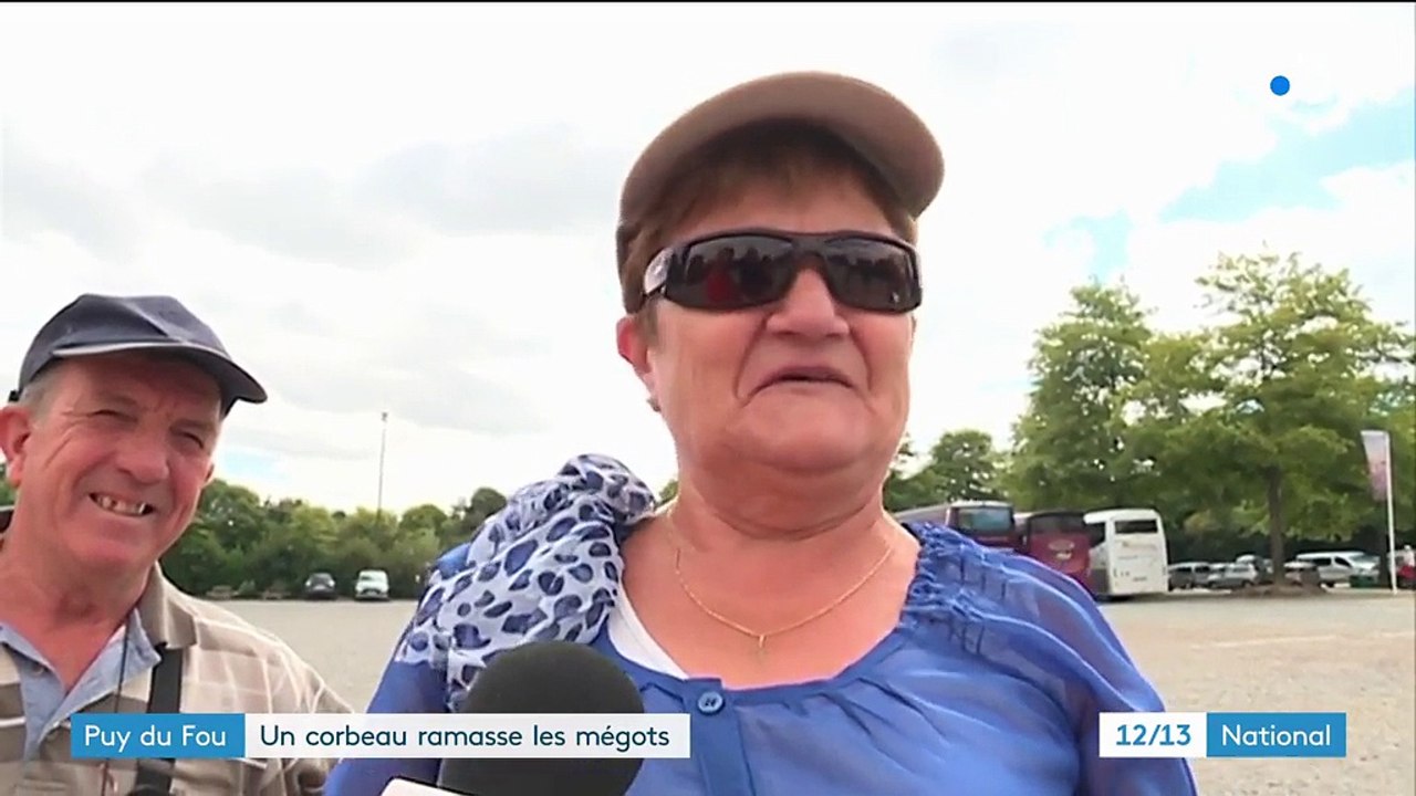Puy du fou : des corbeaux pour ramasser les mégots