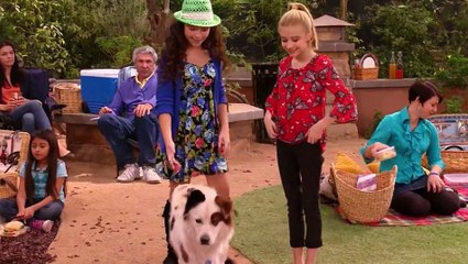 Dog with a blog 22 Stan's Old Owner