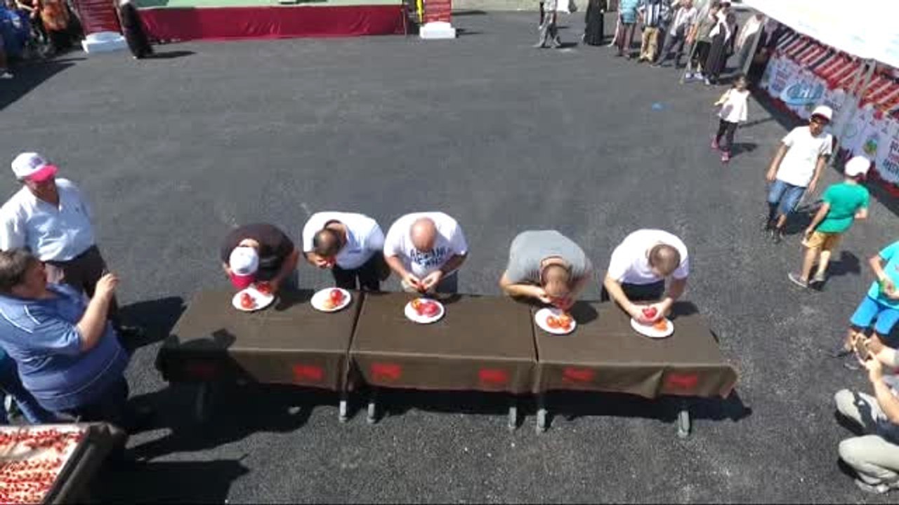 2. Boyabat Domatesi Festivali