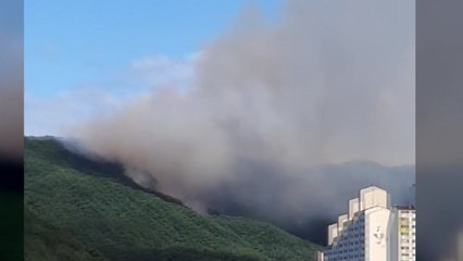 춘천 산불 큰 불길은 잡아...0.5㏊ 소실 / YTN