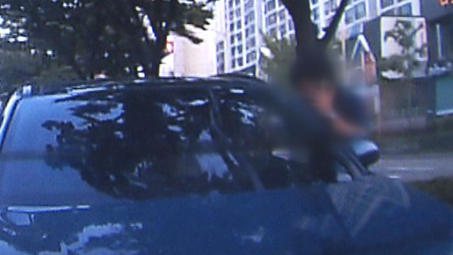 뇌전증 숨긴 운전자 적발...제도 개선 시급 / YTN