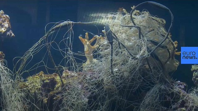 Un zoo invita a los visitantes a ver una pecera llena de basura