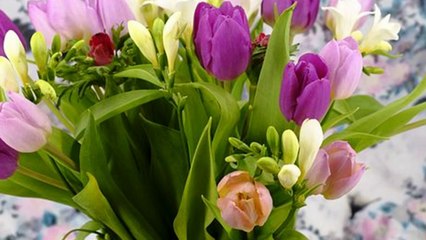 Amazing Flower Photographs