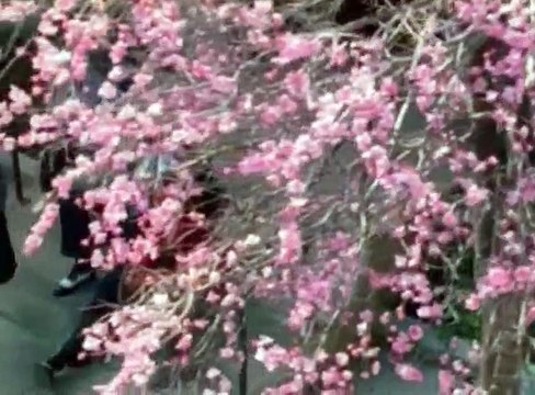 The District S04 - Ep19 PAsing Time HD Watch