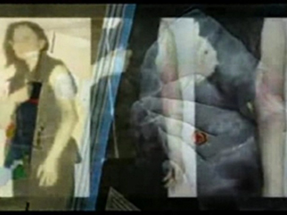 LIM - violences conjugales