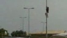 Arabic Monkey