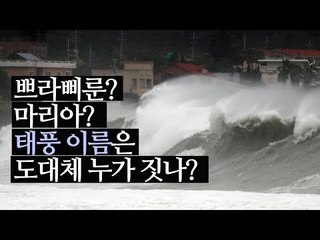 [알쓰] 쁘라삐룬? 마리아? 태풍 이름은 누가 짓나? / 연합뉴스 (Yonhapnews)