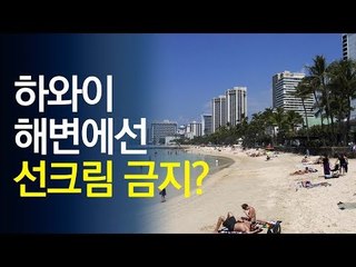 하와이 해변에선 선크림 못바른다…왜? / 연합뉴스 (Yonhapnews)