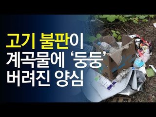 계곡물에 고기 불판·돗자리가 '둥둥'…양심 어디갔나 / 연합뉴스 (Yonhapnews)