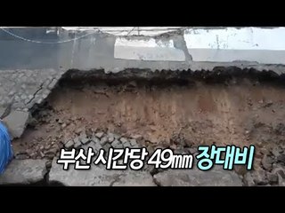 부산 시간당 49㎜ 장대비…도로 침하·옹벽붕괴·침수 잇따라 / 연합뉴스 (Yonhapnews)