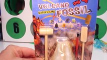 Jurassic World DINOSAUR Punchbox Surprise Toys | Fun DINOSAUR Toy Video for Kids