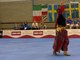 Border collie and owner wow audience with captivating routine at Dog Dance World Championships 