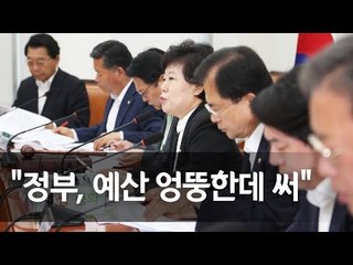 조배숙 "정부, 저출산 핵심 잘못 짚고 예산 엉뚱한데 써" / 연합뉴스 (Yonhapnews)