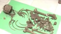 Skelett ausgegraben in einem Geisterhaus