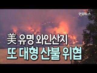 유명 와인산지 美 나파밸리에 또 대형산불 위협 / 연합뉴스 (Yonhapnews)