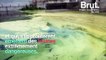 En Floride, une marée rouge toxique tue des milliers d’espèces sous-marines