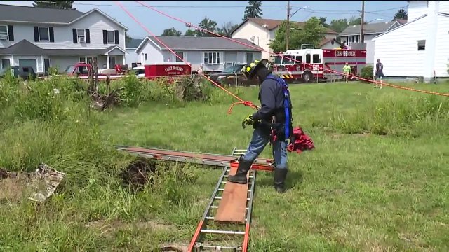 Firefighters Rescue 14-Year-Old Dog from Sinkhole in Pennsylvania