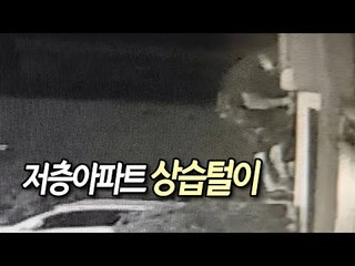 "열대야, 베란다 단속하세요"…저층아파트 상습털이 구속 / 연합뉴스 (Yonhapnews)