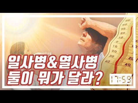 [1759] 일사병, '일하다 죽는 병' 아닙니다! / 연합뉴스 (Yonhapnews)