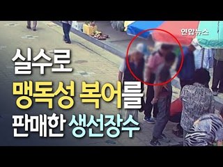 [현장] 실수로 '맹독성 복어' 판 생선장수…한밤중 복어 찾기 대소동 / 연합뉴스 (Yonhapnews)