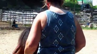 Rehabilitating a rescue Morgan Horse in Dr. Cooks bitless bridle.