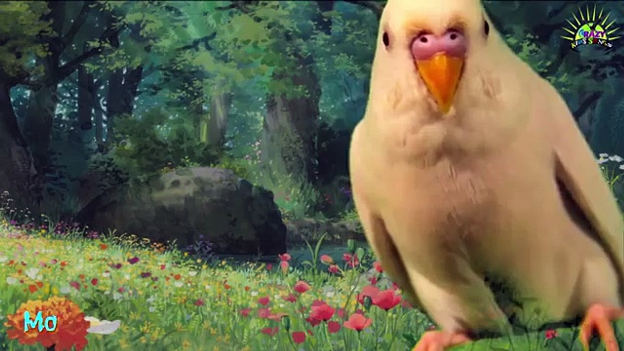 Cubs Lion ,Cow , Cheetah Farm Animals Cartoons Finger Family 3D Animation Nursery Rhymes F