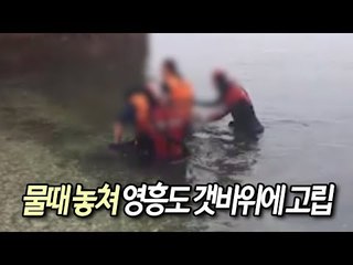 물때 놓쳐 영흥도 갯바위에 고립된 관광객 3명 구조 / 연합뉴스 (Yonhapnews)
