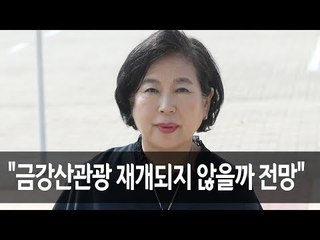 현정은 회장 "올해 안에 금강산관광 재개되지 않을까 전망"  / 연합뉴스 (Yonhapnews)