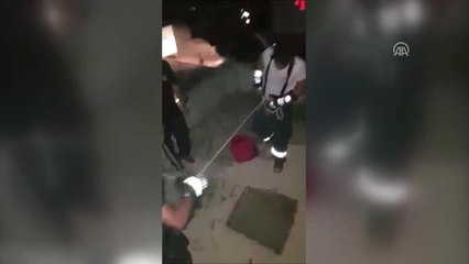 Silivri'de Yavru Kedi Bir Hafta Kurtarılmayı Bekledi