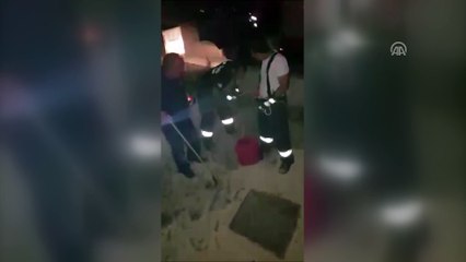 Silivri'de yavru kedi bir hafta kurtarılmayı bekledi - İSTANBUL