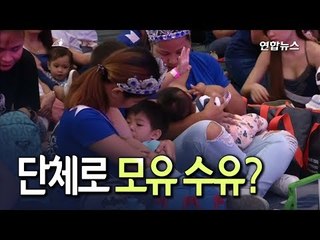 [현장] 젖먹이와 엄마 2천쌍이 한자리에…무슨일일까? / 연합뉴스 (Yonhapnews)