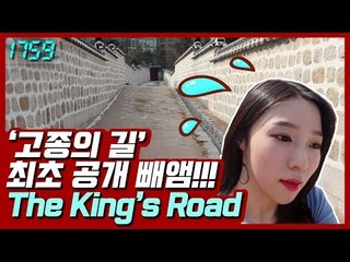 [1759] 피땀눈물 흘린 사상 최악의 폭염에 고종의 길 거닐기(feat.39.6℃ 실화냐) / 연합뉴스 (Yonhapnews)