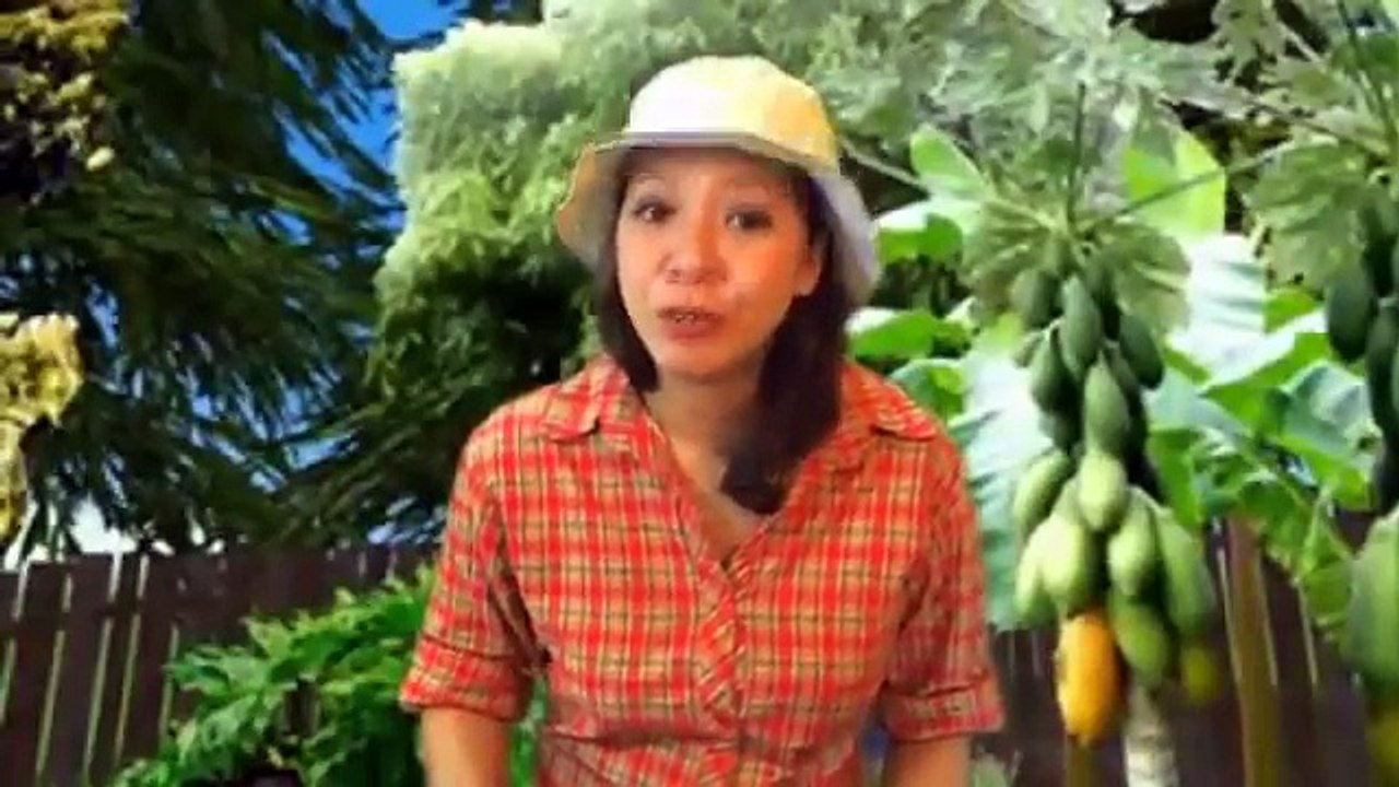 Bird Guide Minnesota Birds Field Guide Review