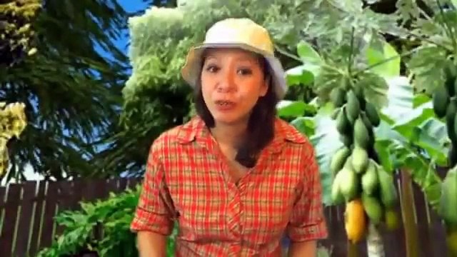 Bird Guide Minnesota Birds Field Guide Review