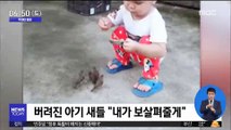 [투데이 영상] 버려진 아기새들 