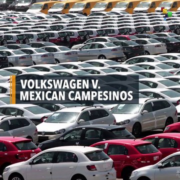 Mexican campesinos against Volkswagen