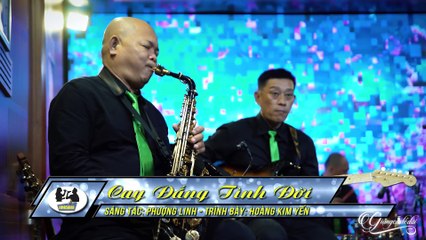 Cay Đắng Tình Đời - Tiếng hát Hoàng Kim Yến - GIONG CA DE DOI