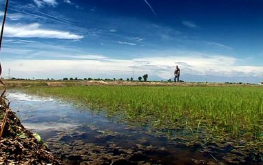Heston Blumenthal - In Search of Perfection S02E07
